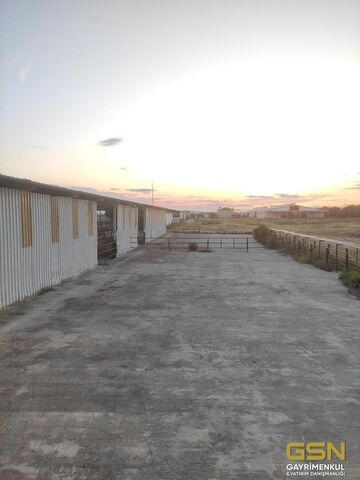 8-İZMİR DİKİLİ BAHÇELİ MAHALLESİNDE DENİZE 3. PARSEL 48.000 M2 İÇERİSİNDE KURULU 4000 BÜYÜKBAŞLIK RUHSATLI ÇİFTLİK